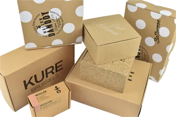 Livrare expres Cutii în Zwijnaarde Belgia